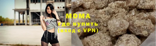гашик Дмитров