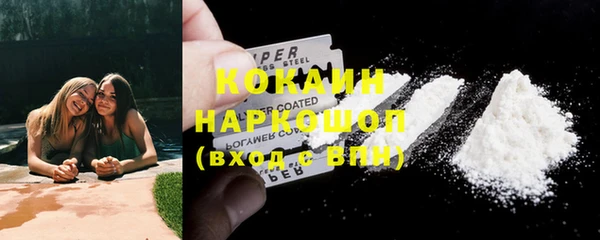 гашик Дмитров
