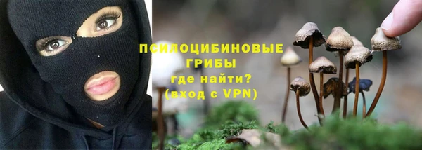 ПСИЛОЦИБИНОВЫЕ ГРИБЫ Дмитровск
