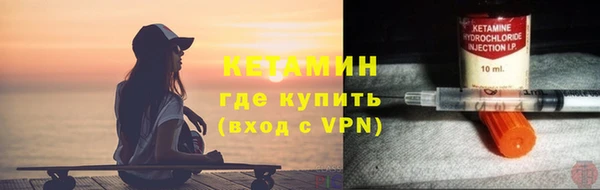гашик Дмитров