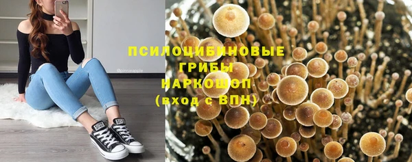 ПСИЛОЦИБИНОВЫЕ ГРИБЫ Дмитровск