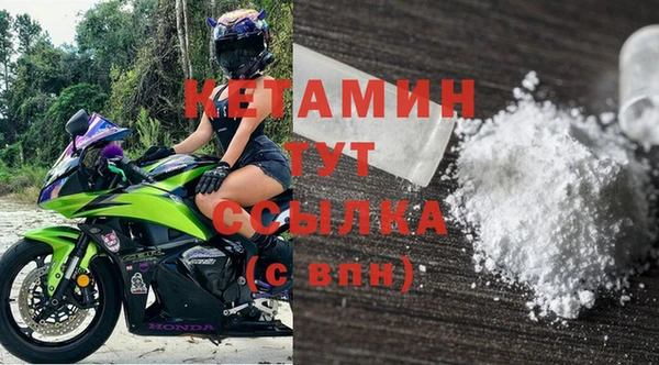 гашик Дмитров