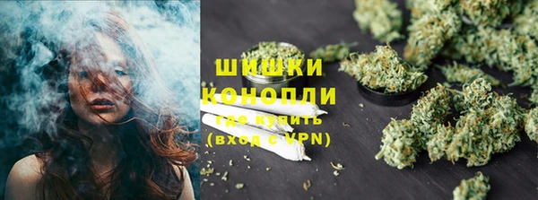гашик Дмитров
