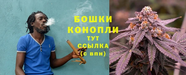 гашик Дмитров