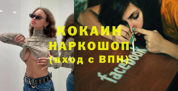 гашик Дмитров