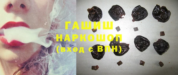 гашик Дмитров