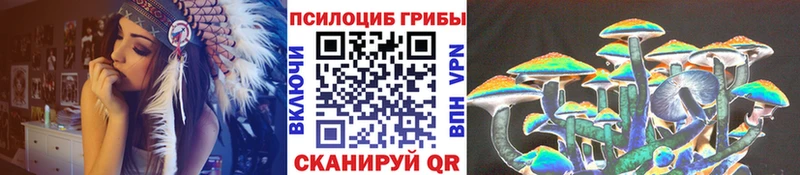 Псилоцибиновые грибы мухоморы  наркота  mega как зайти  Рубцовск 
