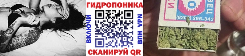 Шишки марихуана конопля  купить  сайты  Рубцовск 